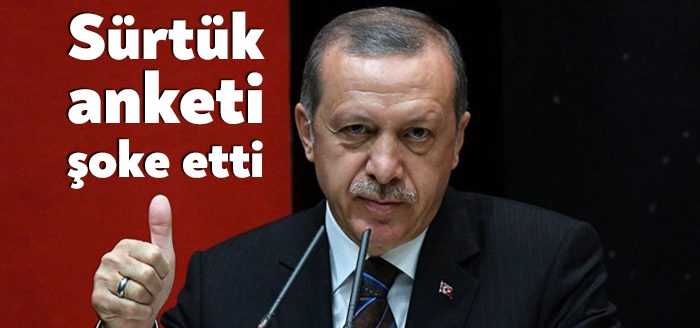 Aksoy Araştırma'nın sahibi Ertan Aksoy, Cumhurbaşkanı Erdoğan’ın Gezi eylemcilerine yönelik