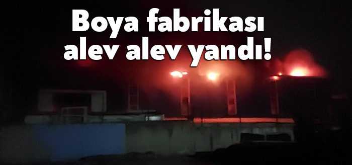 Kocaeli’nin Gebze ilçesinde bulunan bir toz boya fabrikası alevlere teslim