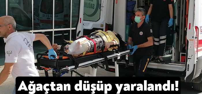 Kocaeli’nin Gebze ilçesinde kiraz toplamak için çıktığı ağaçtan düşen kadın