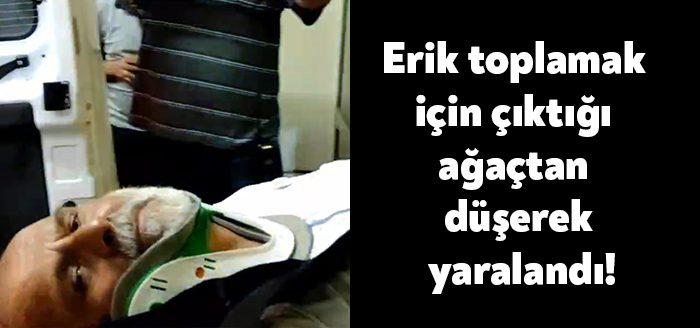 Kocaeli'nin Başiskele ilçesinde erik toplamak için ağaca çıkan 55 yaşındaki