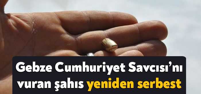 Üsküdar Kandilli'de balık tuttuğu sırada bir silahtan çıkan saçmayla başından
