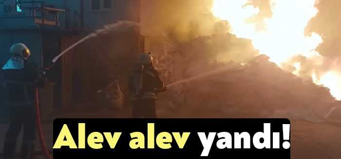 Kocaeli’nin Gebze ilçesinde bulunan bir geri dönüşüm deposunda çıkan yangın,
