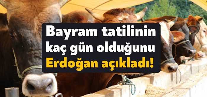Bugün gerçekleştirilen kabine toplantısının ardından açıklama yapan Cumhurbaşkanı Recep Tayyip