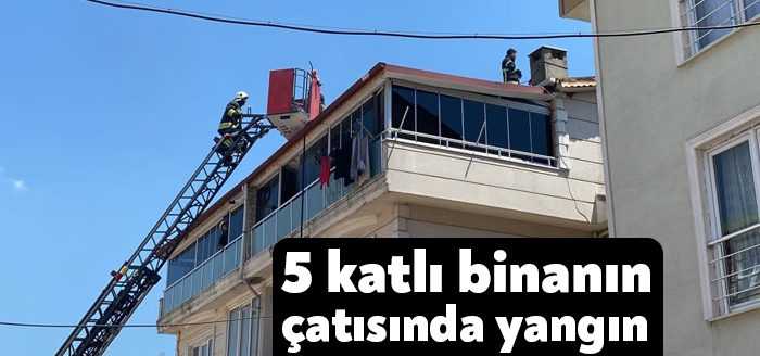 Kocaeli’nin Darıca ilçesinde bulunan 5 katlı bir binanın çatısında çıkan