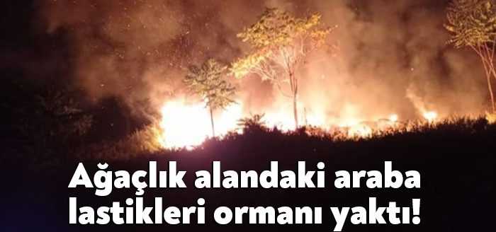 Kocaeli'nin Dilovası ilçesinde ormanlık alan içerisinde bulunan araba lastiklerinde çıkan