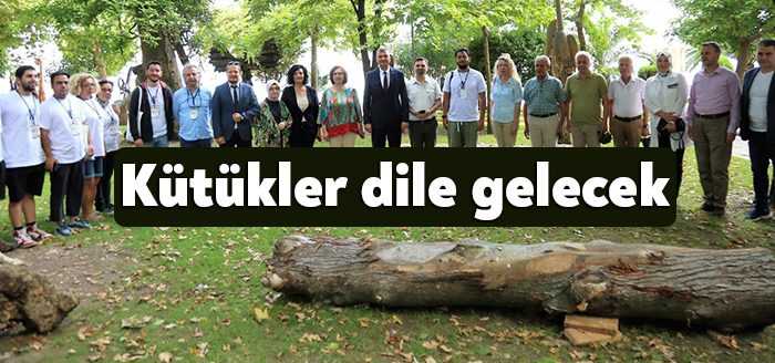 Uluslararası Değirmendere Zühtü Müridoğlu Ahşap Heykel Sempozyumu başlıyor.