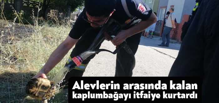 Kocaeli’nin Derince ilçesinde kibritle oynayan çocuklar, çalılık alanda yangın çıkmasına