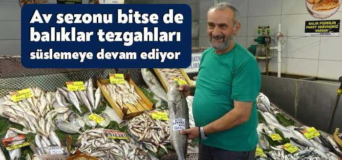 15 Nisan itibariyle başlayan av yasağına rağmen, küçük tekneler ile