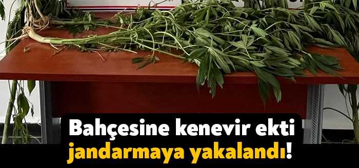 Karamürsel’de yapılan bir ihbar üzerine harekete geçen jandarma ekipleri, evinin