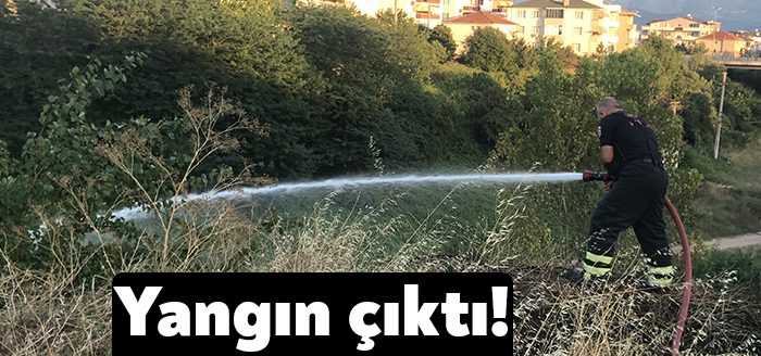 Kocaeli'nin Derince ilçesinde meyve veren ağaçların olduğu çalılık alanda yangın
