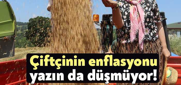 Hasat zamanlarının başlamasıyla birlikte tüketici fiyatlarda üretici ise maliyetlerde düşüş