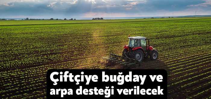 Çiftçilere buğday ürünü için kilogram başına 1 TL, arpa ürünü