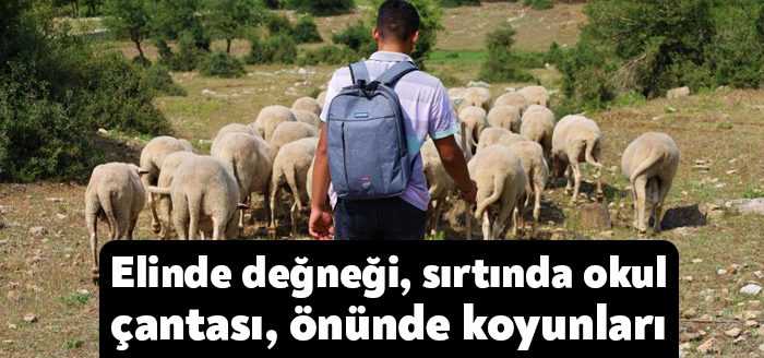 Kocaeli’nin Dilovası ilçesinde ailesiyle birlikte hayvancılık yapan 17 yaşındaki lise