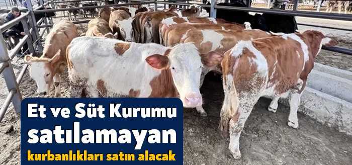 Kurban Bayramı nedeniyle üreticiler tarafından hayvan pazarlarına getirilen ancak satılamayan