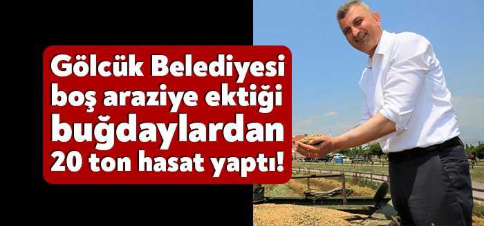 Gölcük Belediyesi, sosyal faaliyetlerde kullanmak amacıyla 40 dönümlük alana ektiği