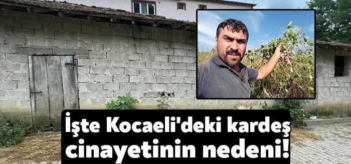 Kocaeli’de bayram günü İzmit Durhasan'da işlenen kardeş cinayetinin sebebi samanlık