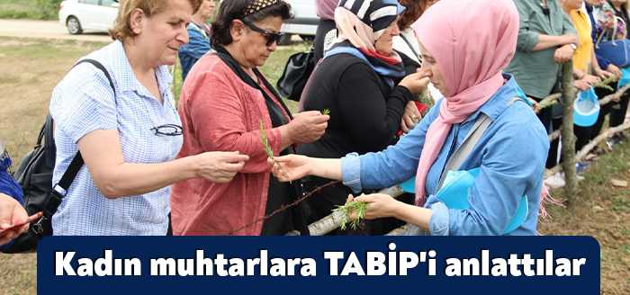 Kocaeli’deki kadın muhtarlar, Büyükşehir’in TABİP projesi kapsamında biberiye ve tıbbı