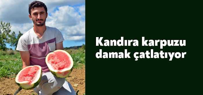 Kocaeli'nin Kandıra ilçesinde üretilen tescilli karpuz, Diyarbakır ve Adana'ya rakip