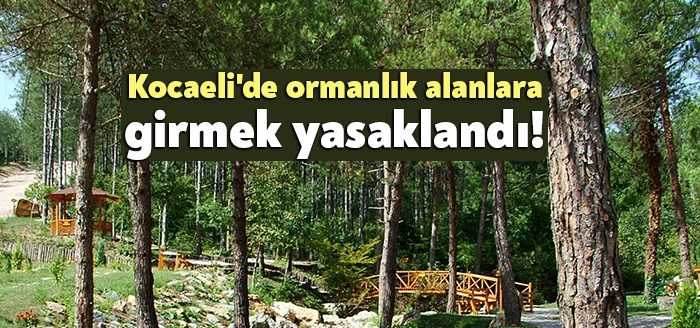 Kocaeli Valiliği, orman yangınlarının önüne geçmek amacıyla tescilli ve kontrollü