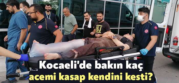 Kocaeli’de bayramın ilk günü 271 kişi kurbanlık keserken satır ya