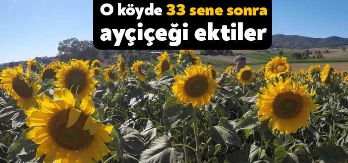 Kocaeli’nin Derince ilçesinde bulunan Çalköy’de 33 sene sonra ilk defa