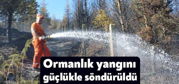 Kocaeli'de ormanlık alanda çıkan yangın itfaiye ekiplerinin yoğun çabalarının ardından