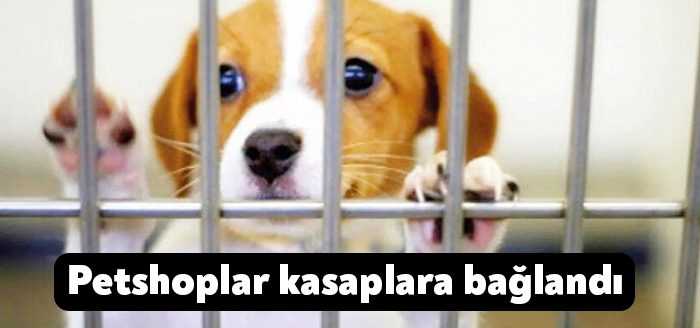 Türkiye Kasaplar, Besiciler, Et ve Et Ürünleri Esnaf ve Sanatkarları