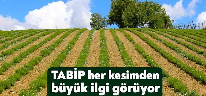 Kocaeli Kent Konseyi Kadın Meclisi yönetimi, Kocaeli Dokümantasyon Merkezi, KARMEK