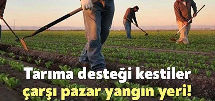 OECD bölgesinde ortalama gıda enflasyonu temmuzda yüzde 12.59 iken Türkiye’de