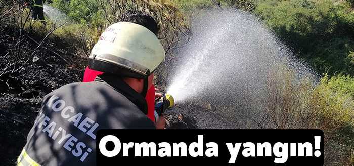 Kocaeli'de ormanlık alanda çıkan yangın, itfaiye ekipleri tarafından büyümeden söndürüldü.