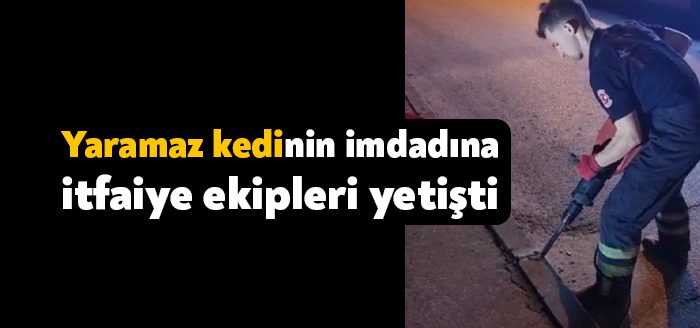 Kocaeli’de mazgaldan yağmur suyu giderine giren ve kaldırımın altında mahsur