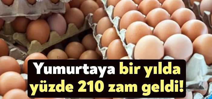 Dar gelirlilerin temel ihtiyaçları arasında yer alan yumurta, fiyatları son
