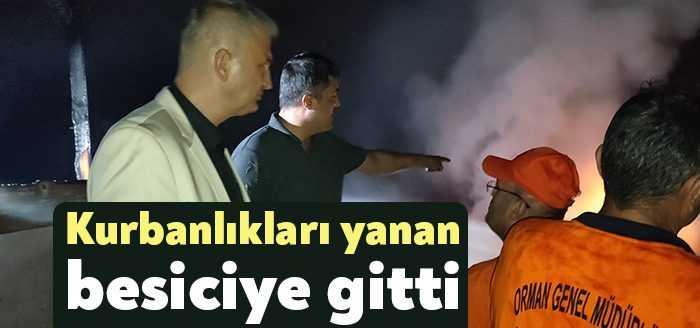 Gölcük Belediye Başkanı Ali Yıldırım Sezer, İcadiye Mahallesi’nde çıkan ahır
