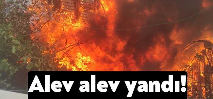 Kocaeli’nin Gebze ilçesinde hurdalık olarak kullanılan kulübe alev alev yandı.