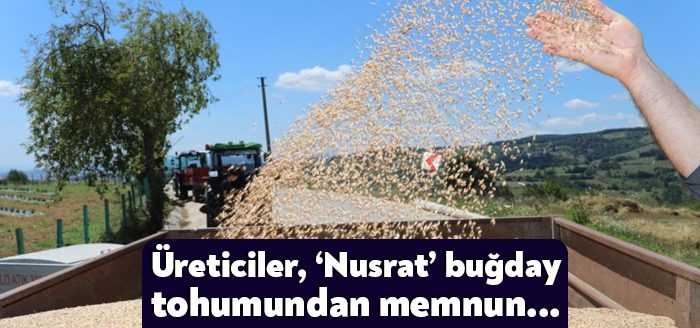 Kocaeli’nin İzmit ilçesinde, yerel buğday tohumunu desteklemek ve üretimi artırmak