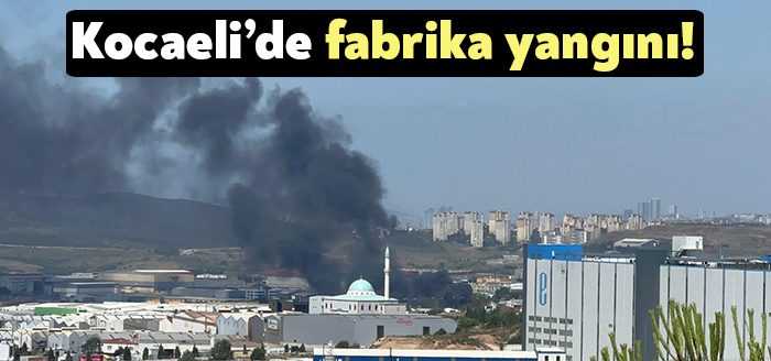 Kocaeli’nin Çayırova ilçesinde bir geri dönüşüm fabrikası alevlere teslim oldu.