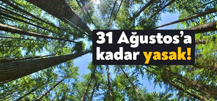 Kocaeli’de hava sıcaklıklarının artması nedeniyle Kocaeli Valiliği tarafından ormanlık alana