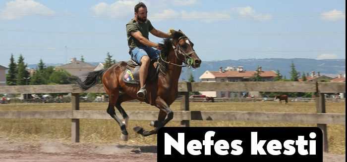 Gölcük Belediyesi ve Geleneksel Spor Dalları Federasyonu işbirliği İle düzenlenen