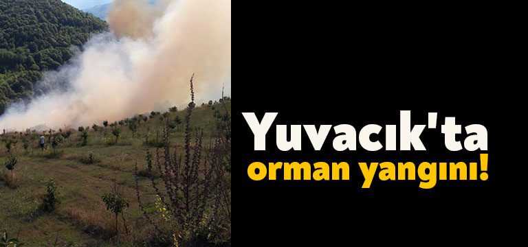 Yuvacık Barajı'nın üst kısımlarında orman yangını çıktı. Rüzgarın etkisiyle yayılan
