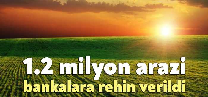 Girdi maliyetleri nedeniyle ürettiğinin karşılığını alamayan çiftçi bir de kredi