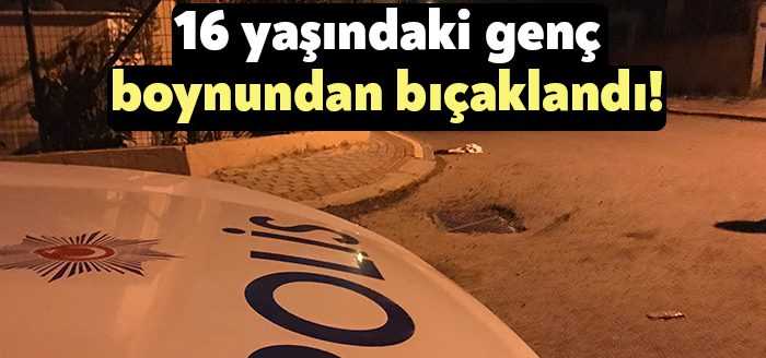Kocaeli’nin Körfez ilçesinde parkta bıçaklanan genç kanlar içerisinde bölgeden uzaklaştı.