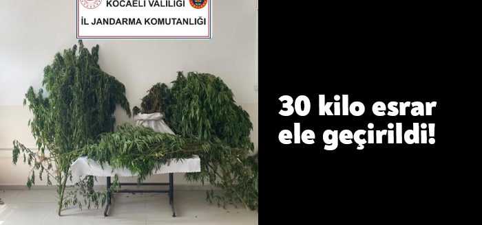 Kocaeli’nin Kartepe ilçesinde jandarma ekipleri tarafından bir evin bahçesinde yapılan