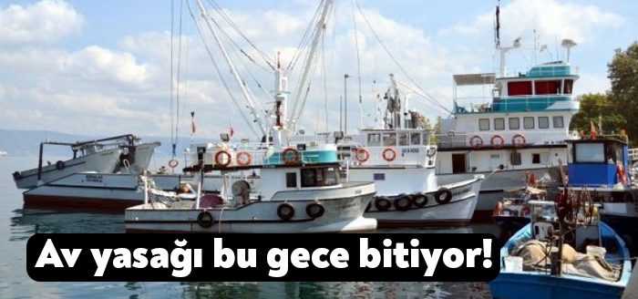 Denizlerde av yasağı bu gece sona eriyor, yeni av sezonu
