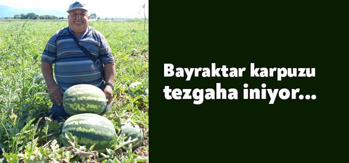 İzmit’in sebze ve meyve deposu olan Bayraktar köyünde yetiştirilen leziz