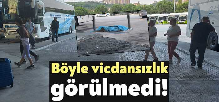 İstanbul'dan Kars'a giden yolcu otobüsünde, valizlerin arasına konulan iki köpekten