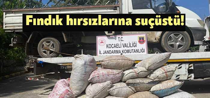 Kandıra'da çuvallanmış halde bahçede duran 1 ton fındığı çalmaya çalışan