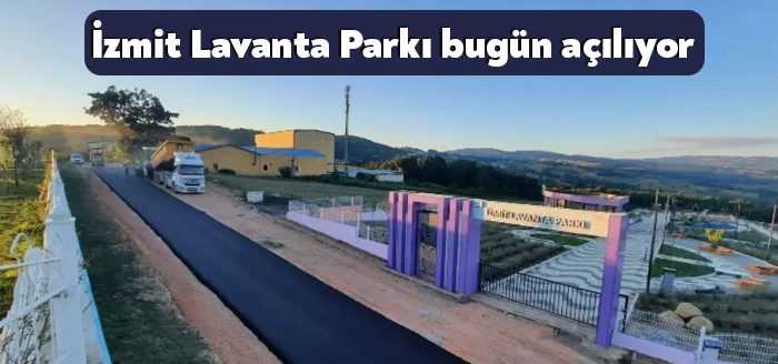 İzmit Lavanta Parkı ve Gülümse Kafe Lavanta için çalışmalar tamamlandı.