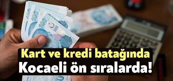 81 ilde son 1 yılda kartlarda ortalama yüzde 85, ek