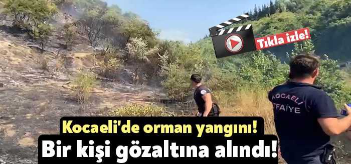 Kocaeli'nin Karamürsel ilçesinde ormanlık alanda yangın çıktı. Vali Seddar Yavuz,