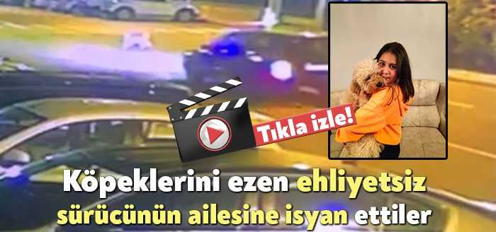 Kocaeli'de 17 yaşındaki sürücü idaresindeki otomobilin çarpması neticesinde köpeği Casper'ı
